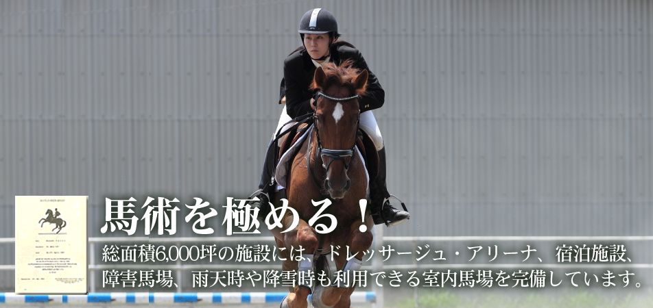 埼玉県の乗馬クラブで馬術を極めるなら｜ドレッサージュ・ステーブル